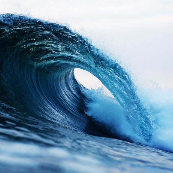 Beautiful curling Barrel wave