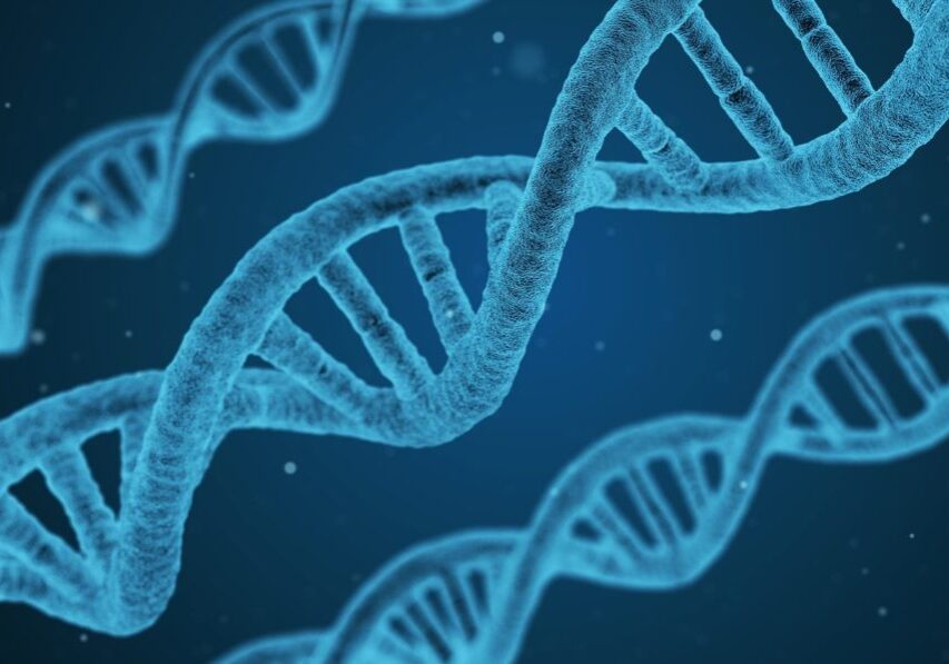 DNA