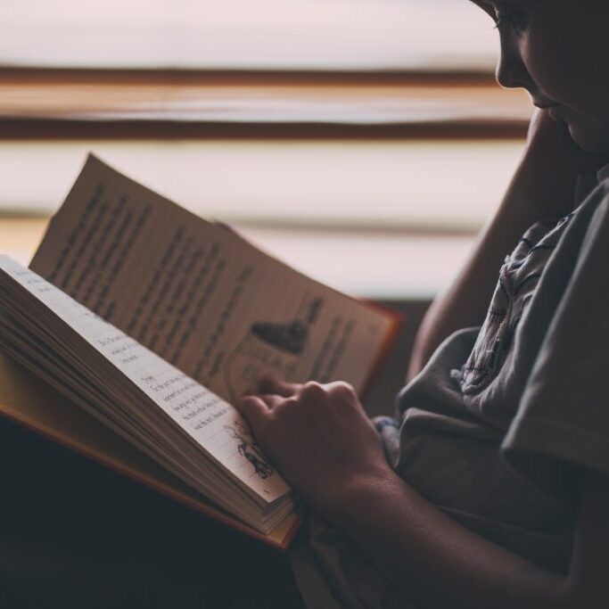 Young child reading a book